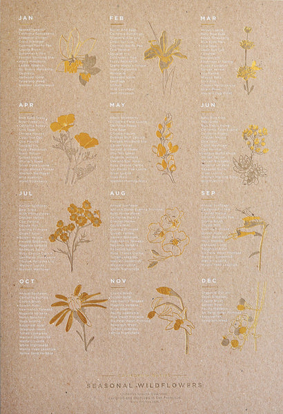 CALIFORNIA NATIVE WILDFLOWER POSTER
