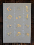 SEASONAL FRUIT & VEGETABLE POSTER
